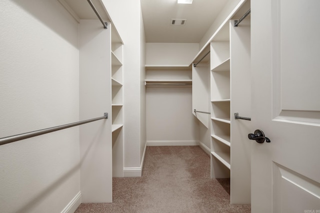 134 Myrick Ln, Hot Springs, AR 71913 - spacious closet with carpet floors