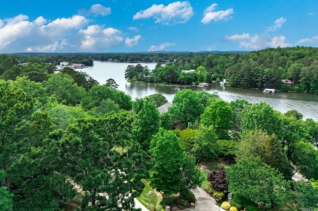 134 Myrick Ln, Hot Springs, AR 71913 - bird's eye view of a nearby body of water and a heavily wooded area