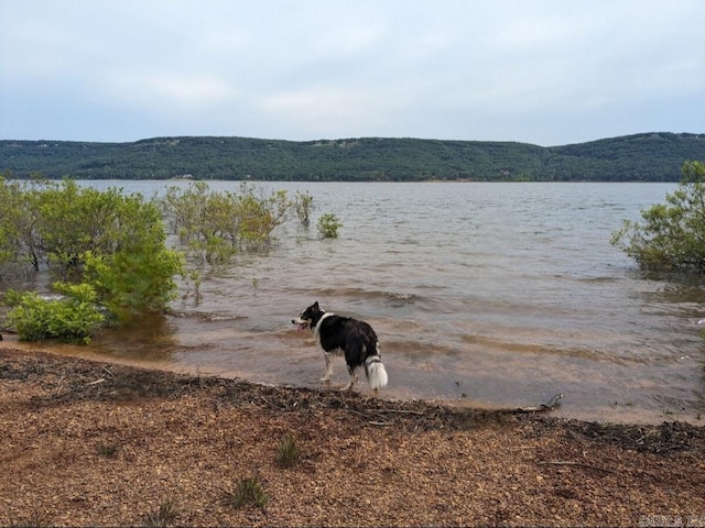 221 Skyline Dr, Greers Ferry, AR 72067 - water view