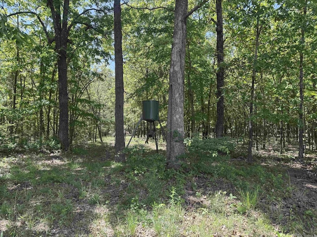 view of local wilderness