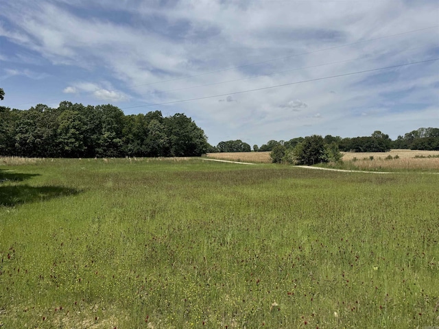 view of local wilderness with rural landscape