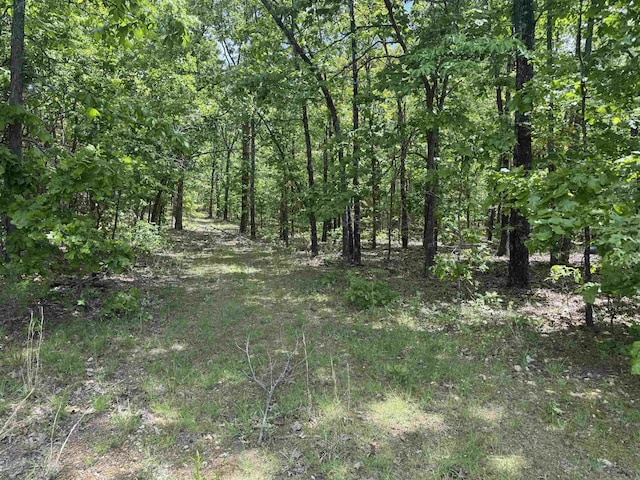 view of wooded area