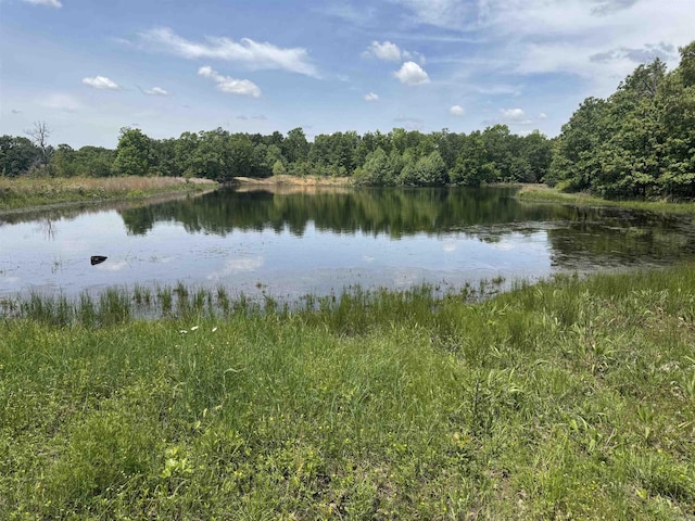 water view featuring a heavily wooded area