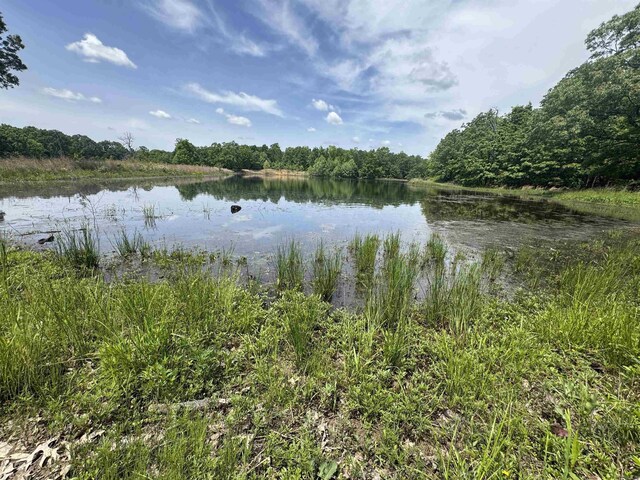 water view with a heavily wooded area