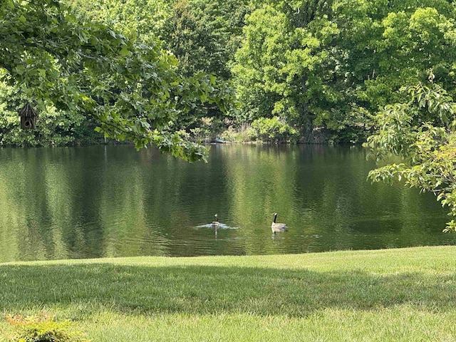 water view