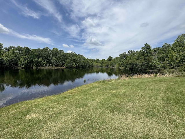 water view featuring a forest
