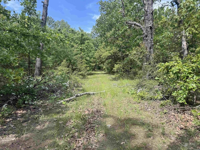view of wooded area