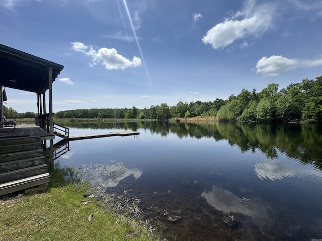 water view with a boat dock and a forest