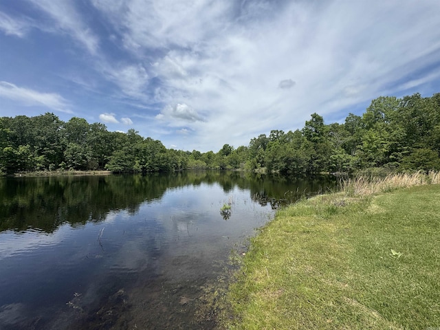 water view featuring a forest