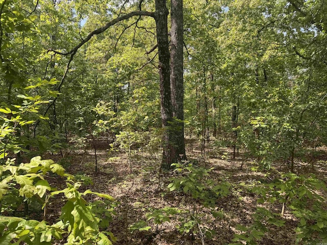 view of wooded area