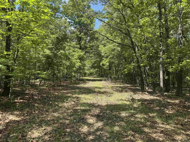 view of woods