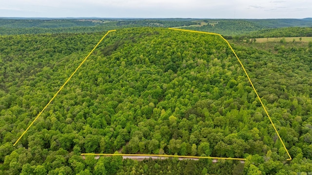 1505 Brushy Creek Rd, Mountain View, AR 72560