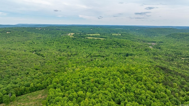 1505 Brushy Creek Rd, Mountain View, AR 72560