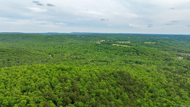 1505 Brushy Creek Rd, Mountain View, AR 72560