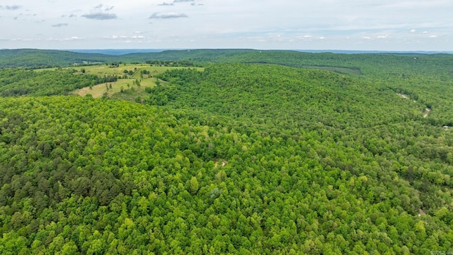 1505 Brushy Creek Rd, Mountain View, AR 72560