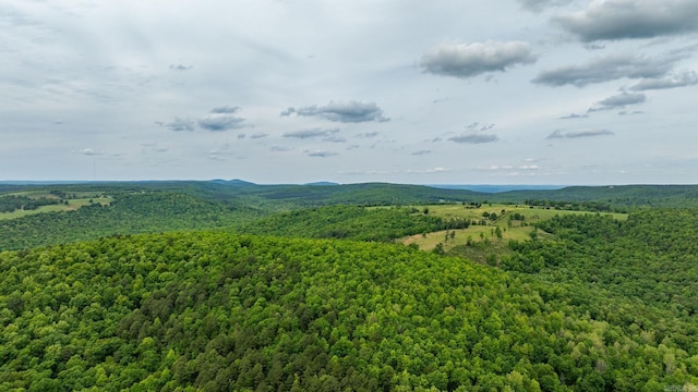 1505 Brushy Creek Rd, Mountain View, AR 72560