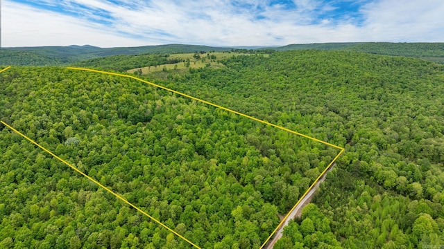 1505 Brushy Creek Rd, Mountain View, AR 72560