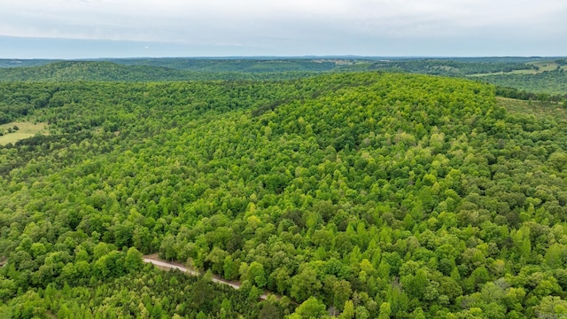1505 Brushy Creek Rd, Mountain View, AR 72560