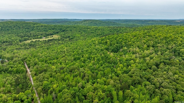 1505 Brushy Creek Rd, Mountain View, AR 72560