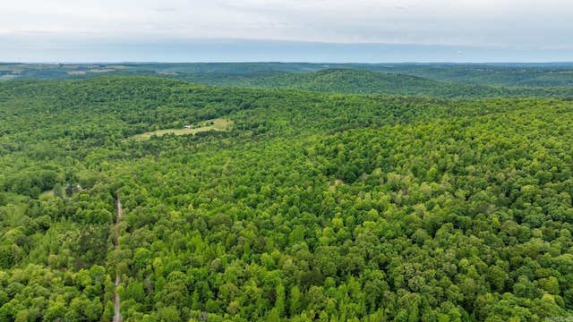 1505 Brushy Creek Rd, Mountain View, AR 72560