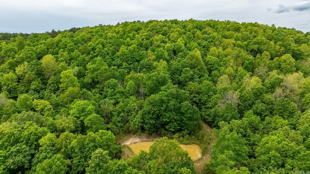 1505 Brushy Creek Rd, Mountain View, AR 72560