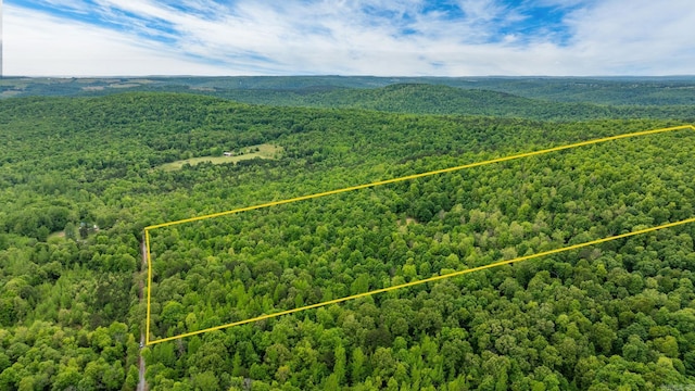 1505 Brushy Creek Rd, Mountain View, AR 72560