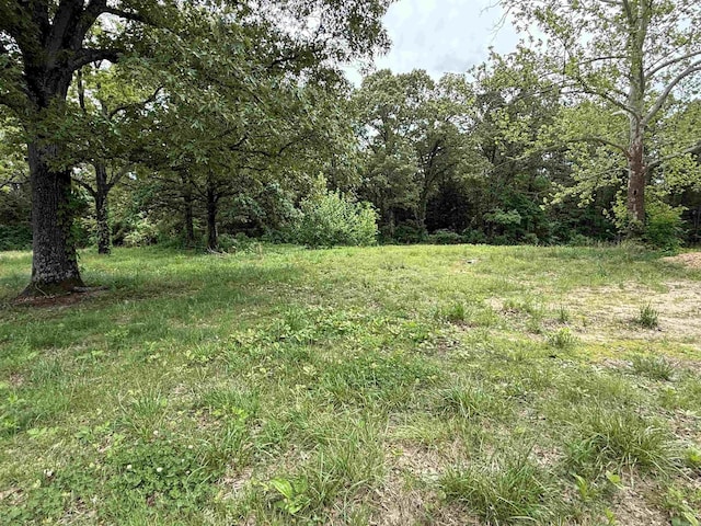 4090 Ar 56th Hwy, Wideman, AR 72585 - view of yard featuring a view of trees