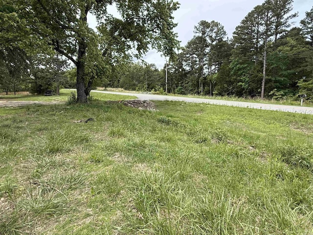 4090 Ar 56th Hwy, Wideman, AR 72585 - view of yard