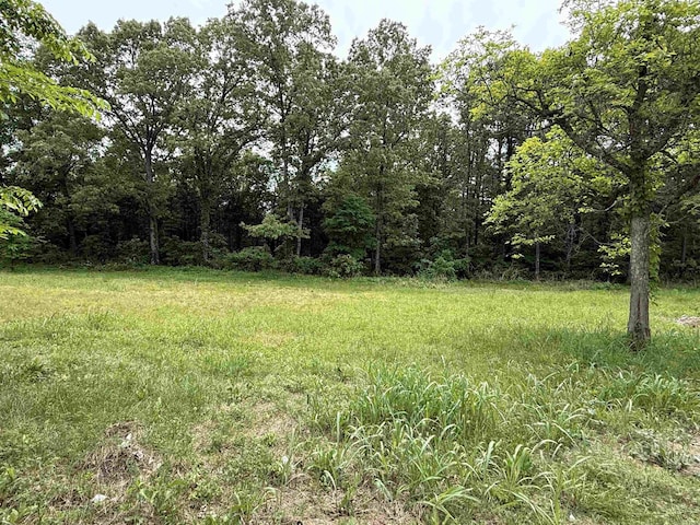 4090 Ar 56th Hwy, Wideman, AR 72585 - view of yard with a wooded view