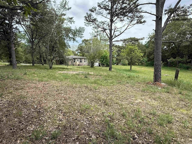 4090 Ar 56th Hwy, Wideman, AR 72585 - view of yard