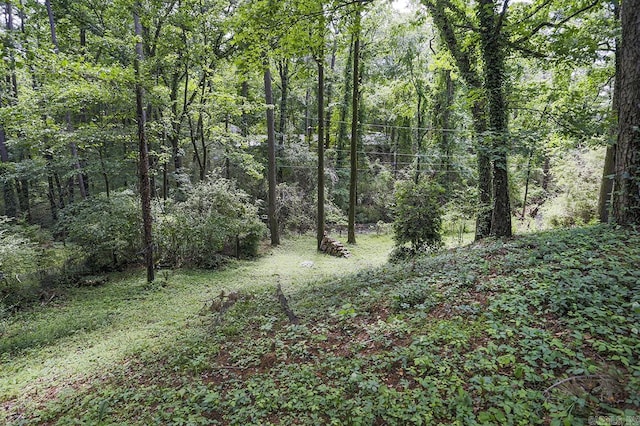 29 Flintwood Dr, Little Rock, AR 72227 - view of wooded area