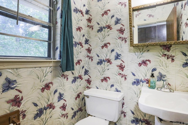 29 Flintwood Dr, Little Rock, AR 72227 - half bath with wallpapered walls, plenty of natural light, toilet, and a sink