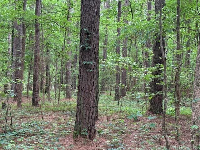 24/82 Whites Cut Rd, Carlisle, AR 72024 - view of woods
