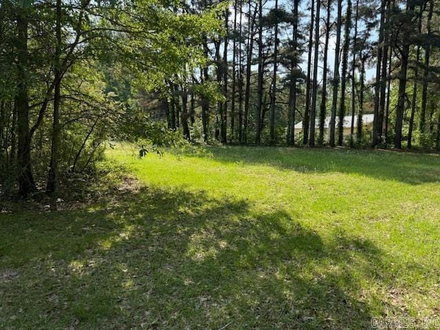24/82 Whites Cut Rd, Carlisle, AR 72024 - view of yard