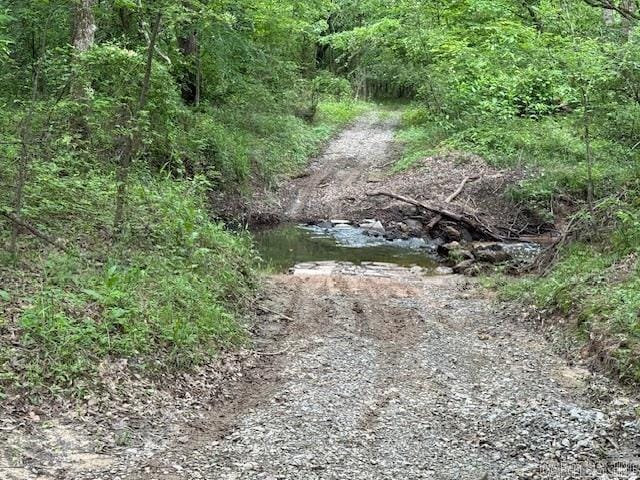 24/82 Whites Cut Rd, Carlisle, AR 72024 - view of nature