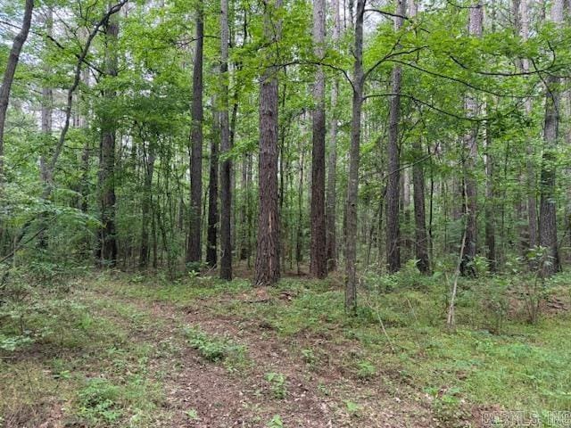 24/82 Whites Cut Rd, Carlisle, AR 72024 - view of woods