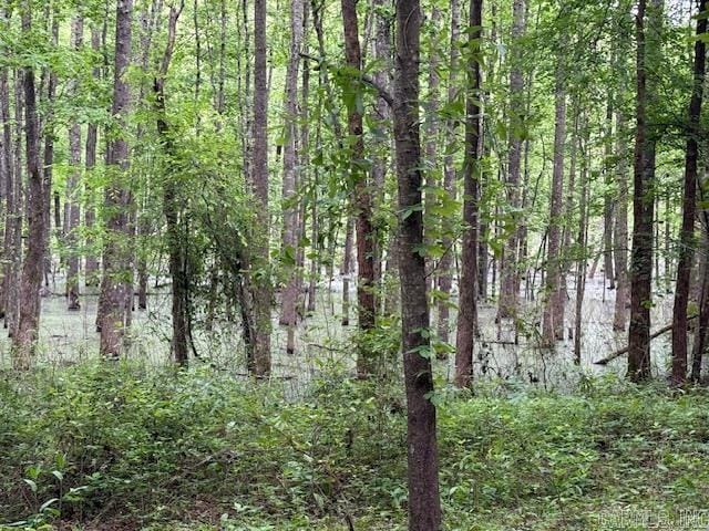 24/82 Whites Cut Rd, Carlisle, AR 72024 - view of woods