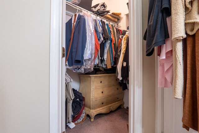 spacious closet with carpet
