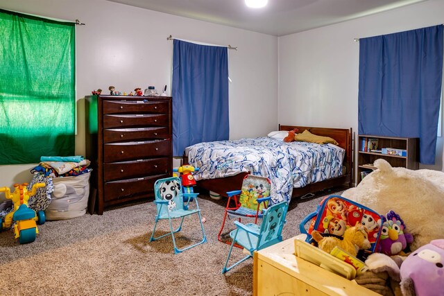 312 N E St, Harrisburg, AR 72432 - bedroom featuring carpet flooring