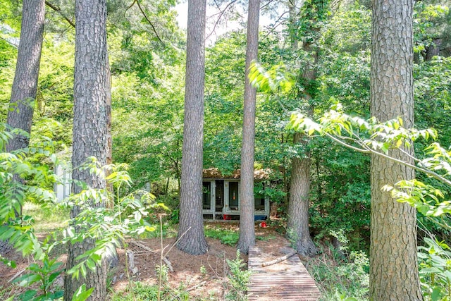 312 N E St, Harrisburg, AR 72432 - view of local wilderness