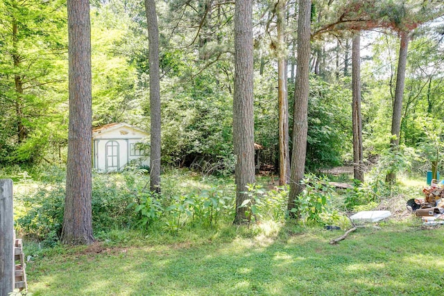 312 N E St, Harrisburg, AR 72432 - view of yard featuring a view of trees