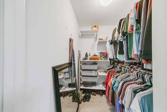 142 Peach St, Austin, AR 72007 - view of spacious closet