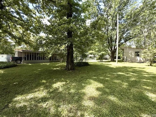 601 Clarence St, Mountain View, AR 72560 - view of green lawn