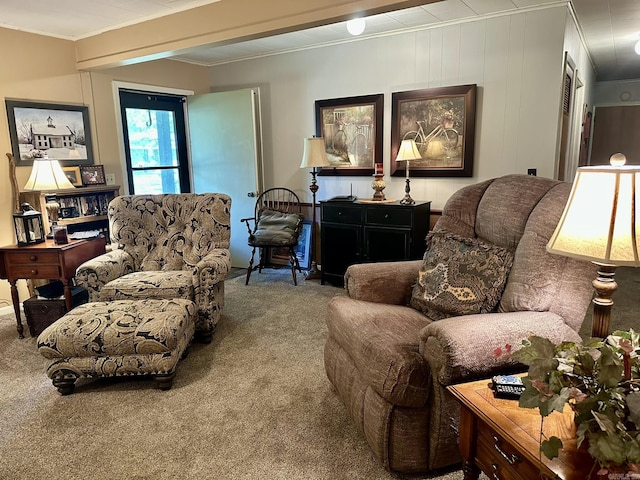 living area with carpet flooring and ornamental molding