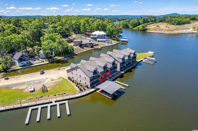 bird's eye view of a large body of water