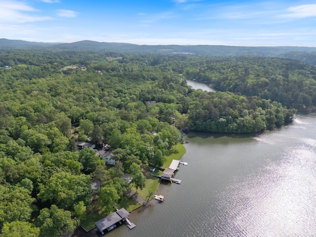 112 Fairchild Pt, Hot Springs, AR 71901 - bird's eye view of a forest and a large body of water