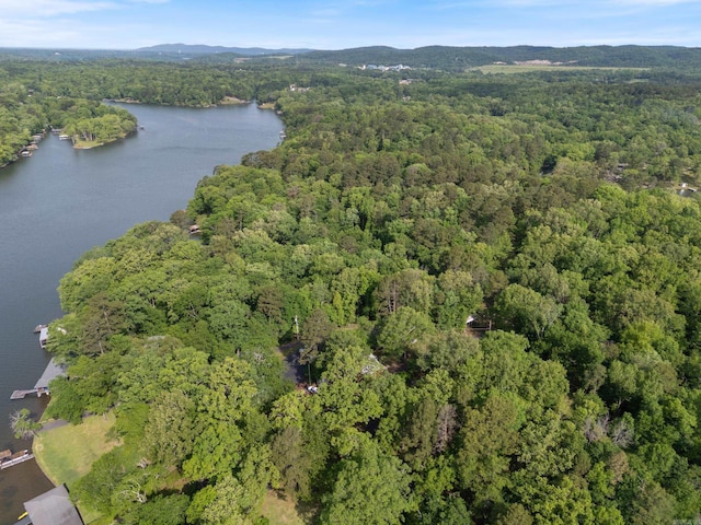 112 Fairchild Pt, Hot Springs, AR 71901 - aerial overview of property's location featuring a forest and a nearby body of water