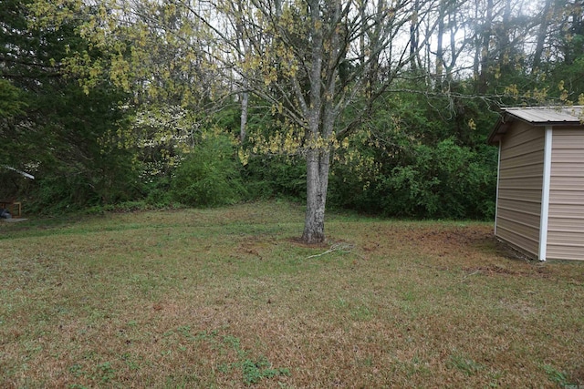 view of green lawn
