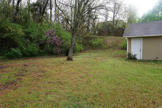 view of green lawn featuring an outbuilding