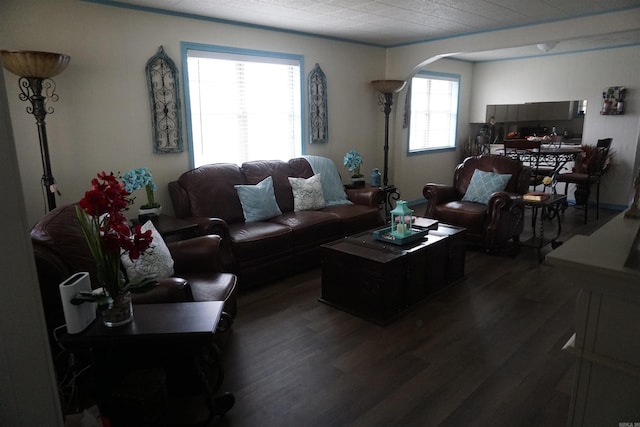 living room with dark wood-type flooring and arched walkways